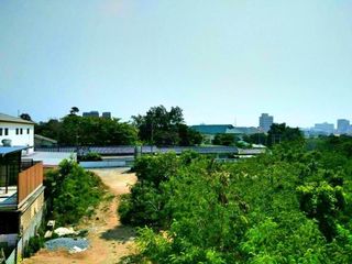Beach Mountain 4