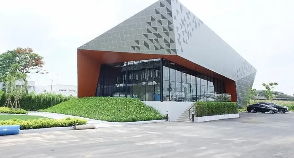 Rice Rama 9