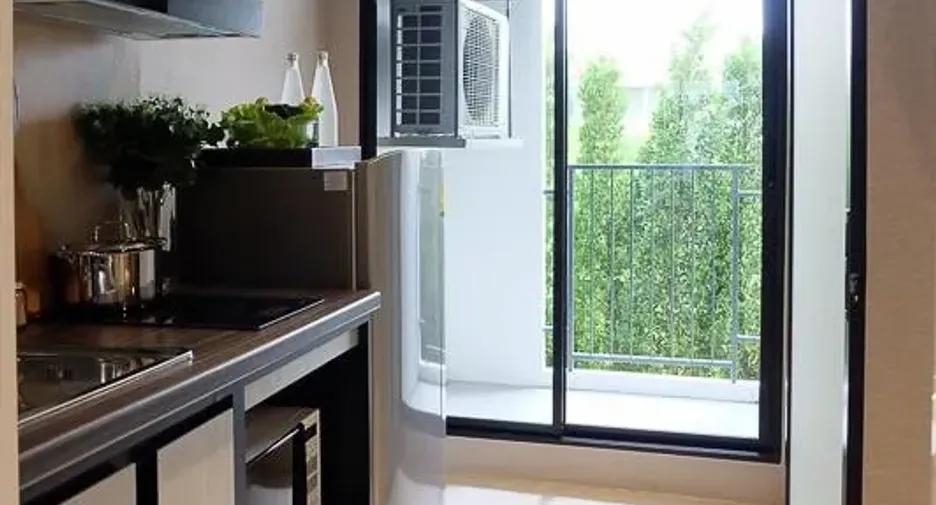Rice Rama 9
