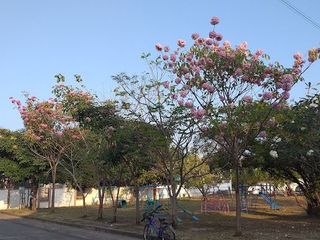 บ้านเพชรเกษม 3
