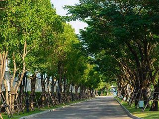 มัณฑนา พรานนก สาย 2 - บางแวก