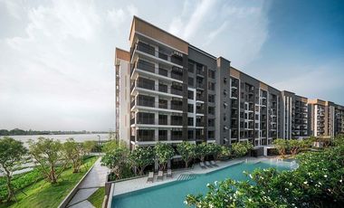 The Politan Breeze