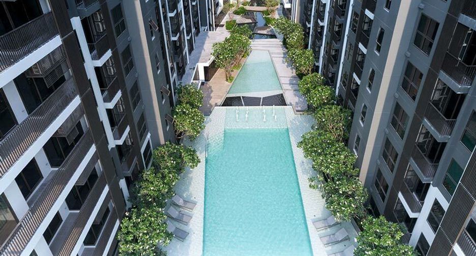 The Politan Breeze
