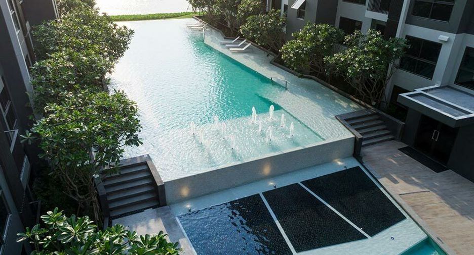 The Politan Breeze
