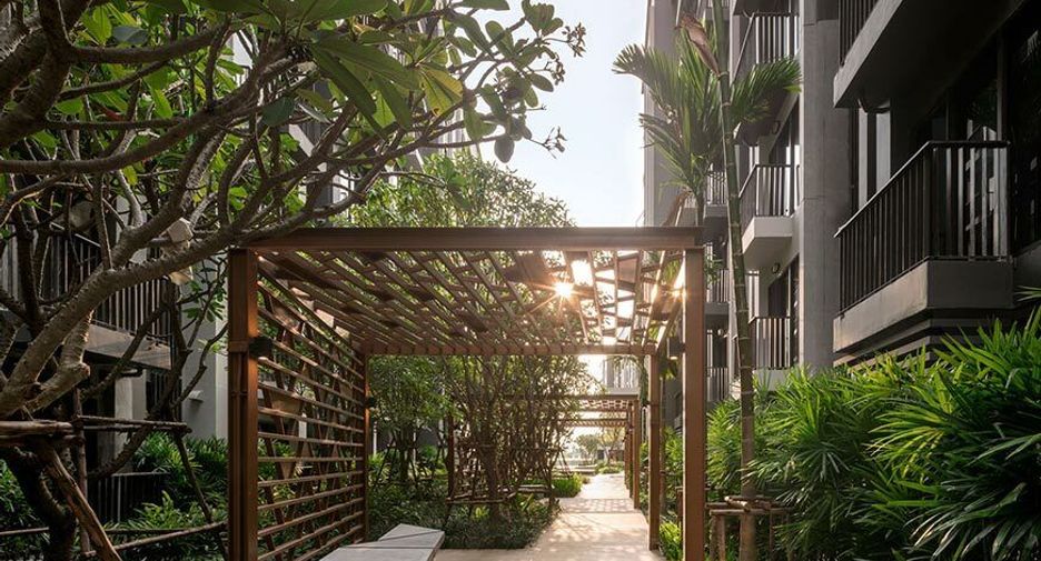 The Politan Breeze