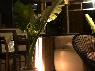 Til Dawn Phuket