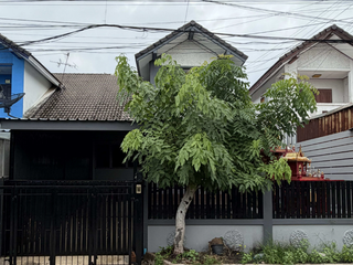 Warocha 5