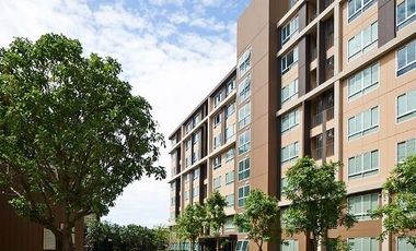 Dcondo Campus Resort Rangsit