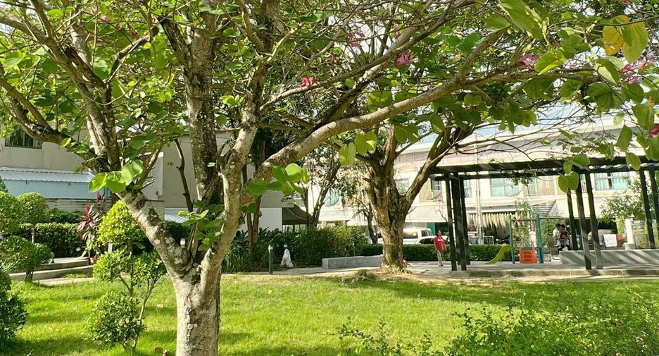 เอช ลีฟวิ่ง สเปซ โรงโป๊ะ-สุขุมวิท