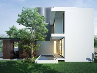Terra da Luz