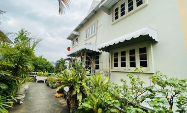 Greenpeace Village