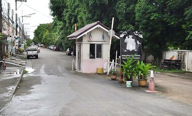 Thanarom Sai Mai-Hathai Rasit