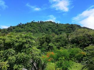 Phuket Phuchada Residencia