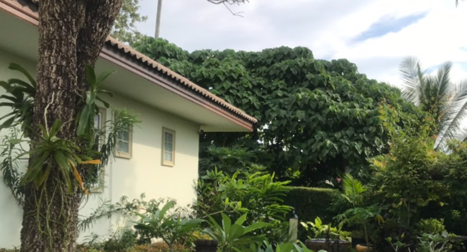 Garden Villa