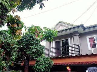 บ้านพฤกษา 24