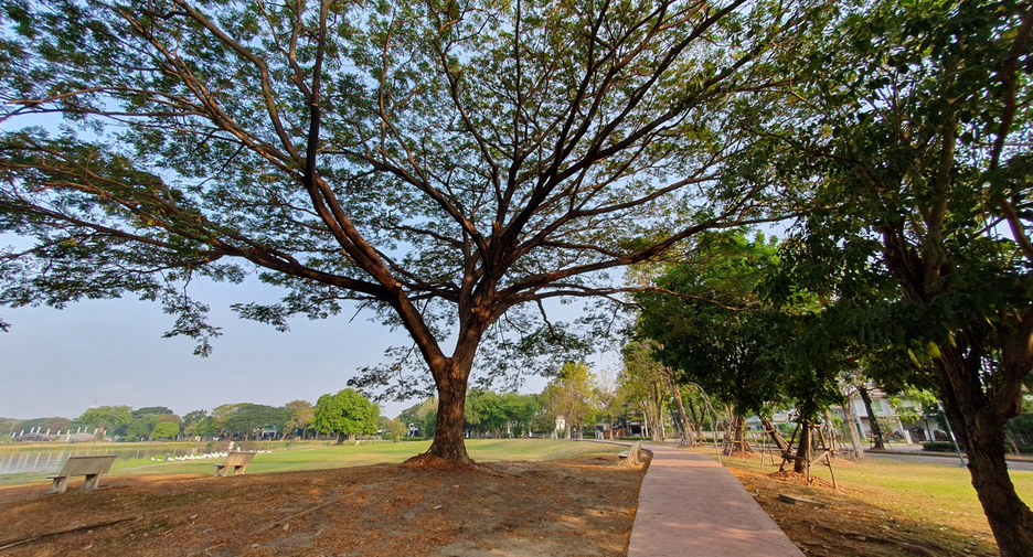 Chonlada Suvarnabhumi Dorf
