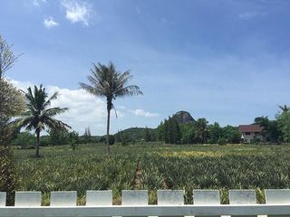 Ozone Hua Hin
