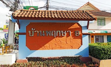 Baan Phrueksa 9 Rangsit-Khlong 3