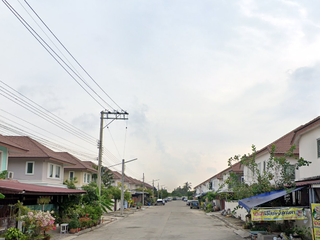 Sintavee Greenville