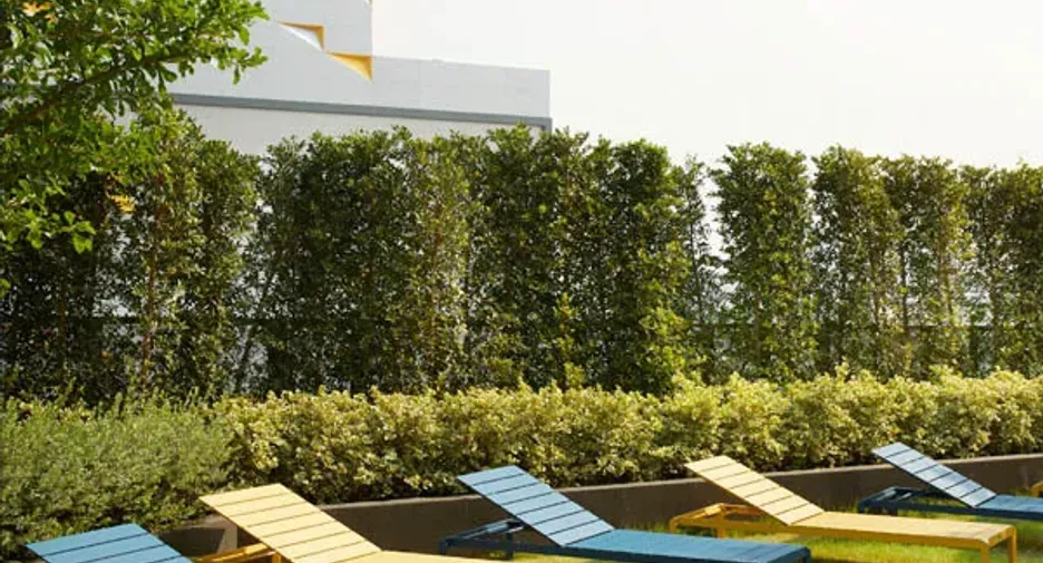 The Quartier Ratchada 32