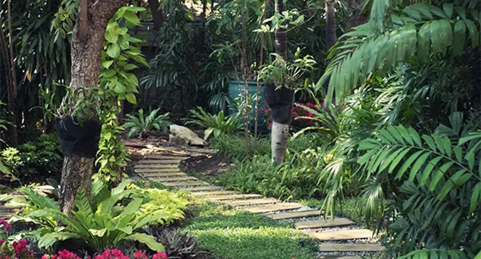 Mayfair Garden