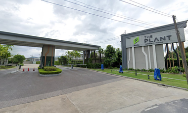 The Plant Thepkasattri-Thalang