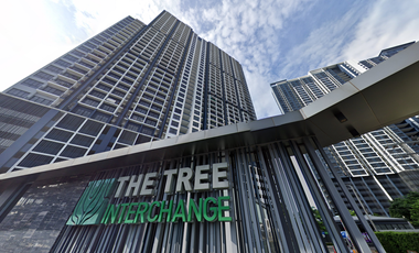 The Tree Interchange