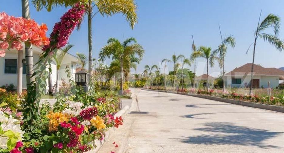 The Grove Villas