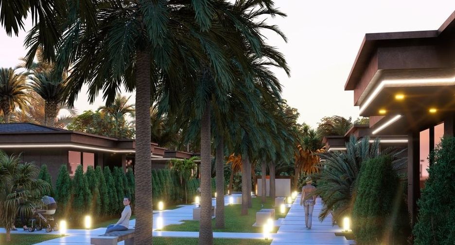 Palm Paradise