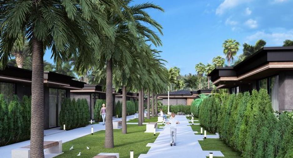 Palm Paradise