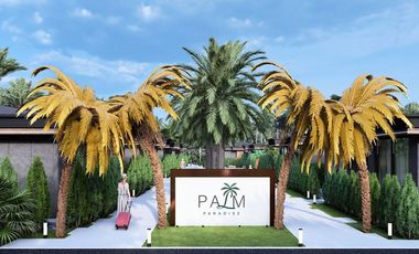Palm Paradise