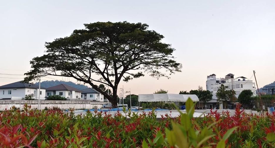 NKS Court