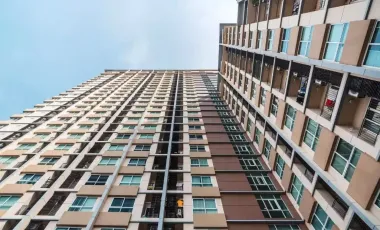 钻石素坤逸