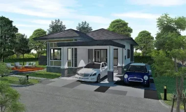 T House Home