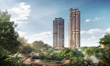 The Forestias Signature Series