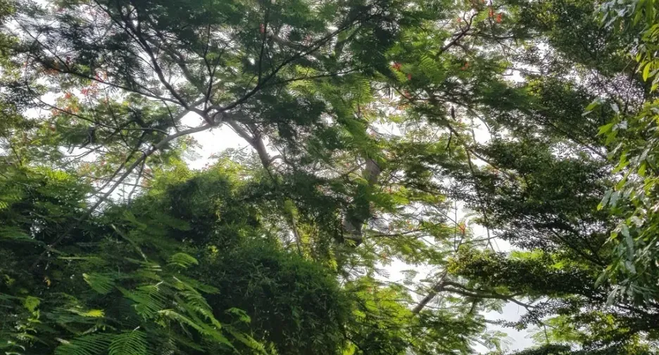 Panya Village Pattanakarn