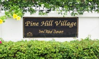 Pine Hill Village
