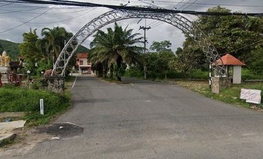 Ramanut 9