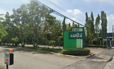หมู่บ้านแมกไม้