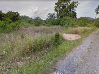Land Plot Tala in Rawai