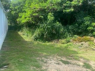 Land Plot Tala in Rawai
