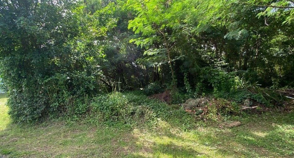 Land Plot Tala in Rawai