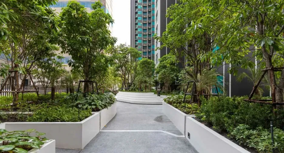 Life Asoke Rama 9