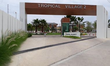 Tropical Village 2