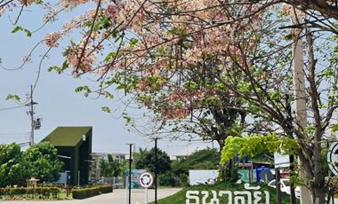 ธนาลัย บ้านบึง