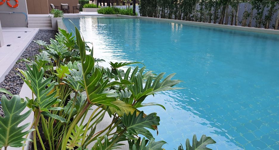 Niche Mono Sukhumvit - Puchao