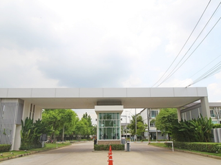 The Plant Citi Nawamin