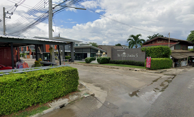The Palm Garden 5