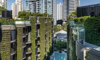 Ashton Residence 41