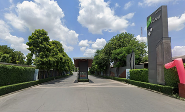 The Plant Rangsit Klong 4-Wongwaen